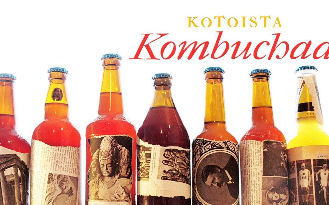 Kotoista kombuchaa